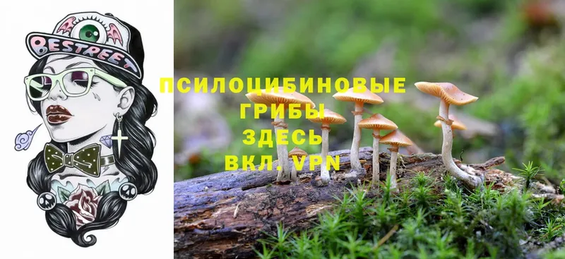 Псилоцибиновые грибы Magic Shrooms  кракен ссылки  Ладушкин 